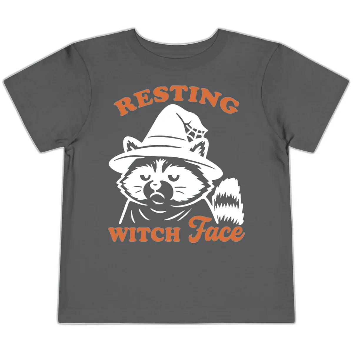 Resting Witch Face Raccoon Design Toddler T-Shirt in Asphalt