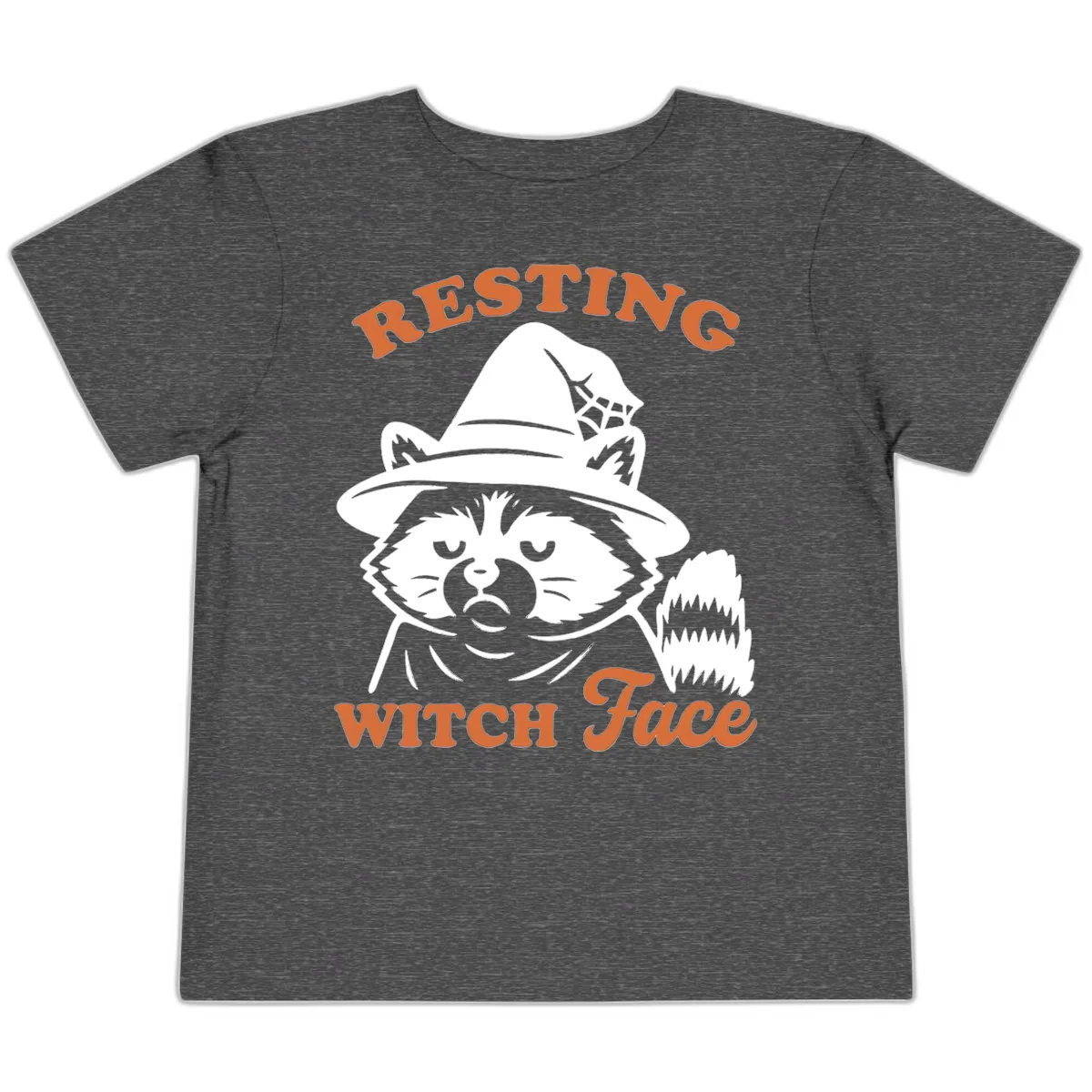 Resting Witch Face Raccoon Design Toddler T-Shirt in Dark Heather Grey