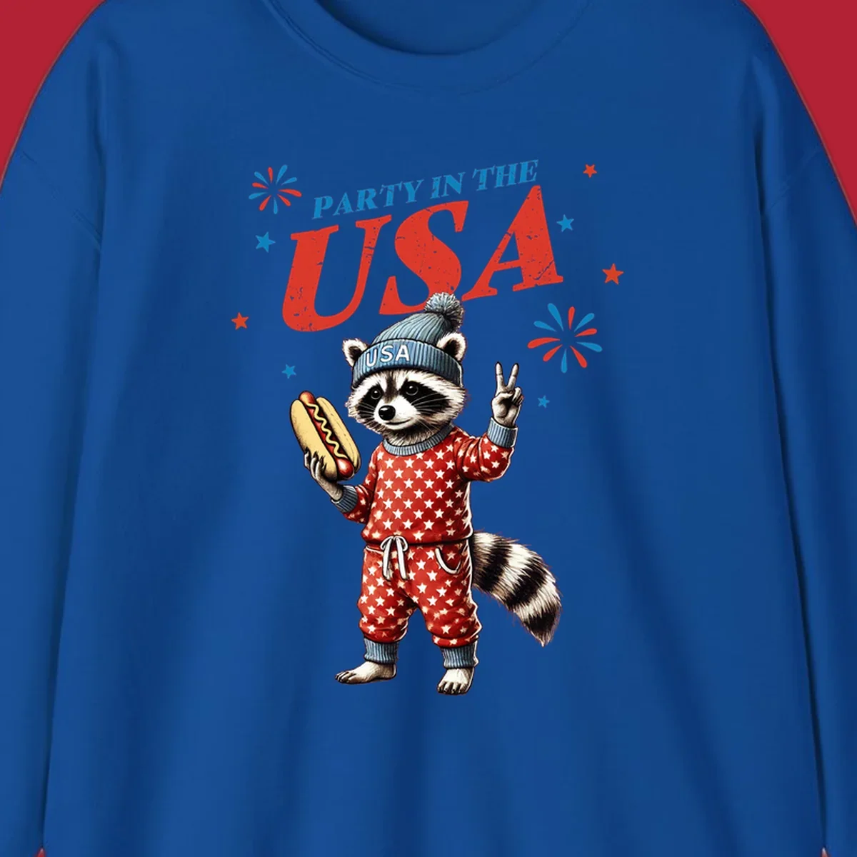 A cartoon raccoon wearing a USA beanie and star-patterned pajamas, holding a hotdog and making a peace sign, with 'PARTY IN THE USA' text and fireworks.