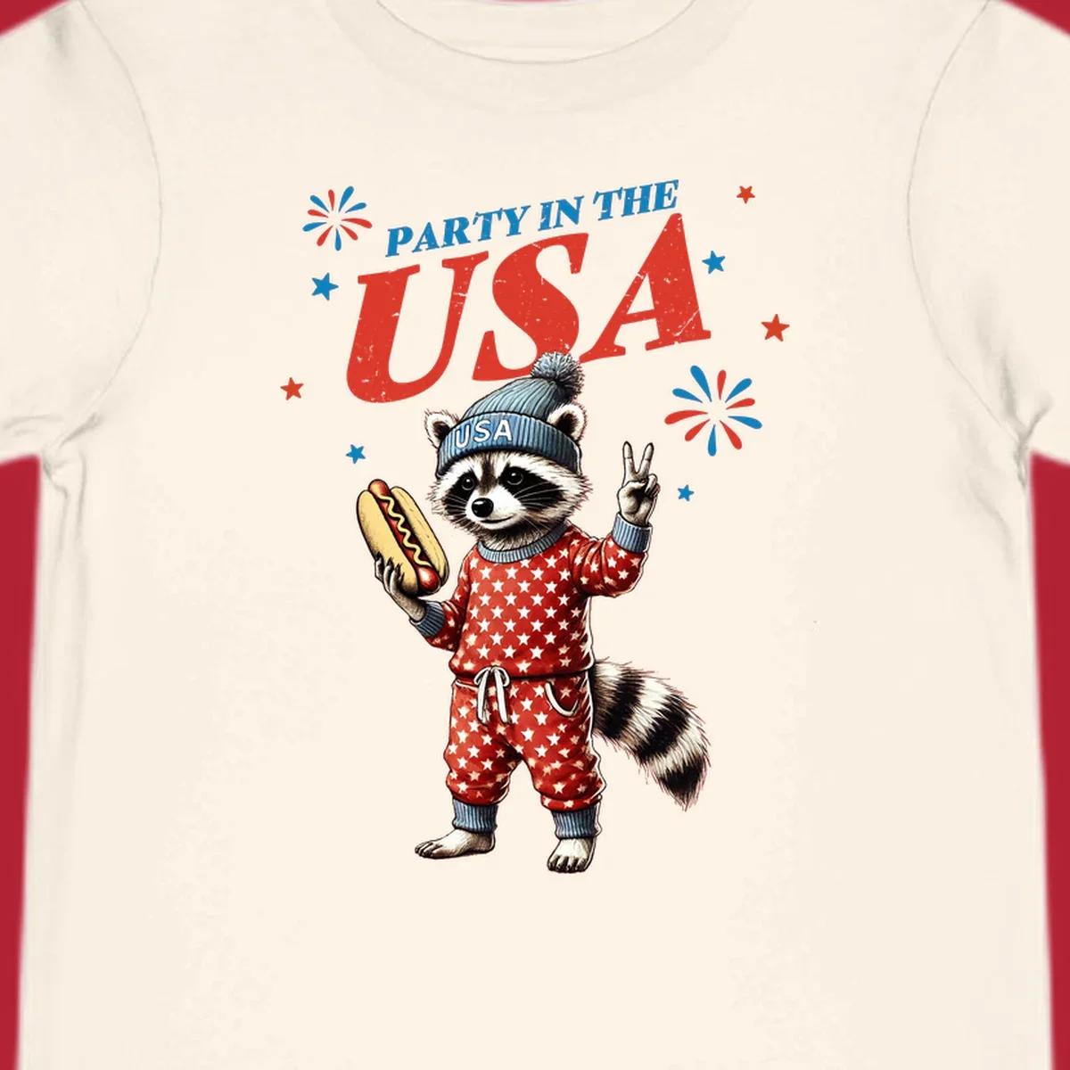 A cartoon raccoon wearing a USA beanie and star-patterned pajamas, holding a hotdog and making a peace sign, with 'PARTY IN THE USA' text and fireworks.
