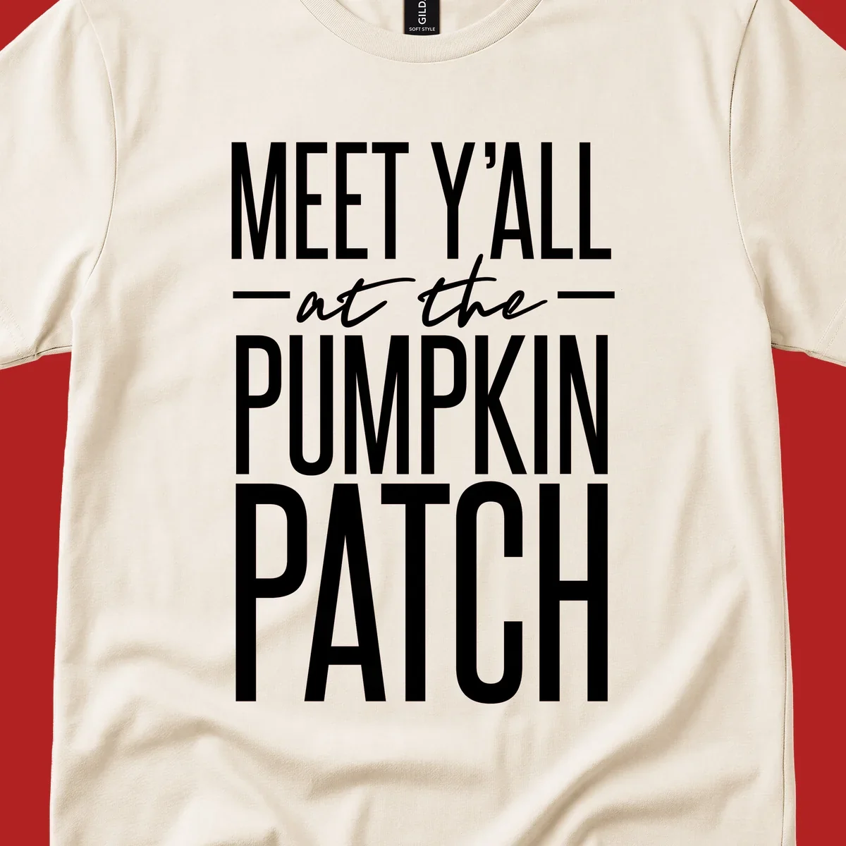 White text reads MEET Y'ALL at the PUMPKIN PATCH, celebrating the fall pumpkin patch season.