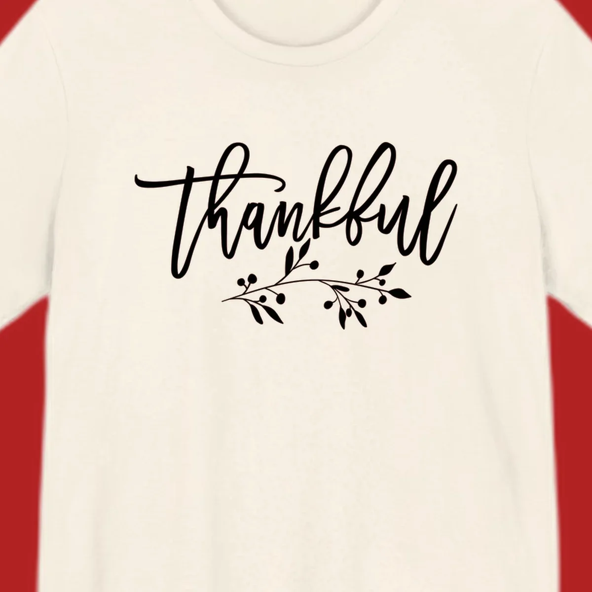 Elegant script text 'Thankful' with a small botanical branch accent, on a plain background.