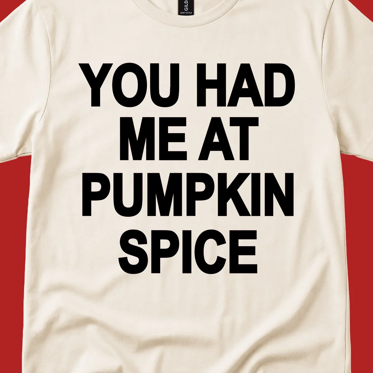 White typography design that says "YOU HAD ME AT PUMPKIN SPICE" for pumpkin spice lovers.