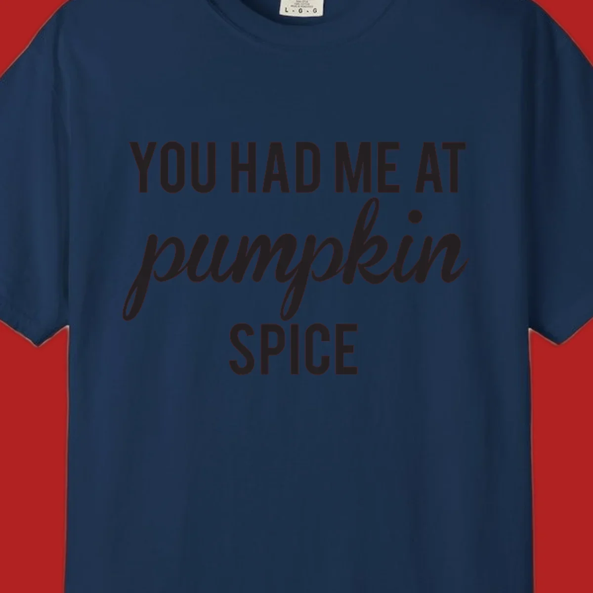 Text design 'YOU HAD ME AT pumpkin SPICE' with 'pumpkin' in script.