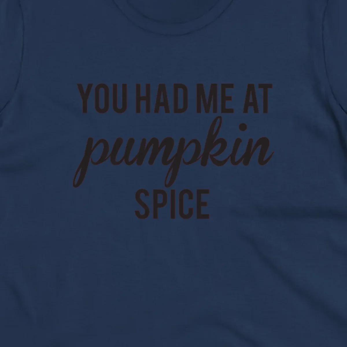 Text design 'YOU HAD ME AT pumpkin SPICE' with 'pumpkin' in script.