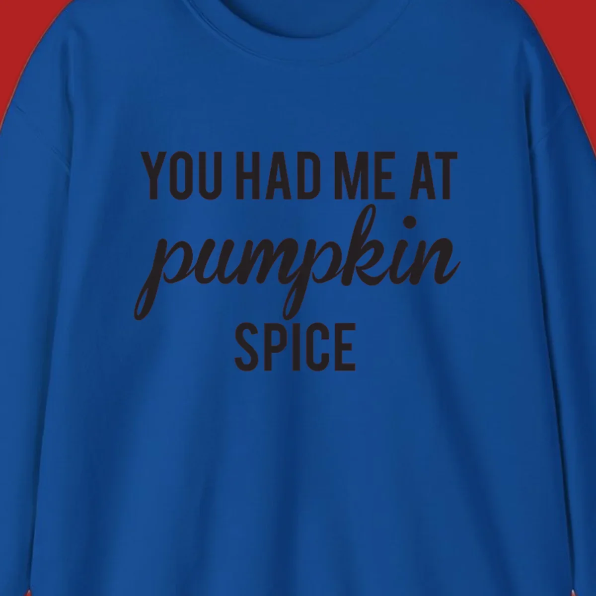 Text design 'YOU HAD ME AT pumpkin SPICE' with 'pumpkin' in script.