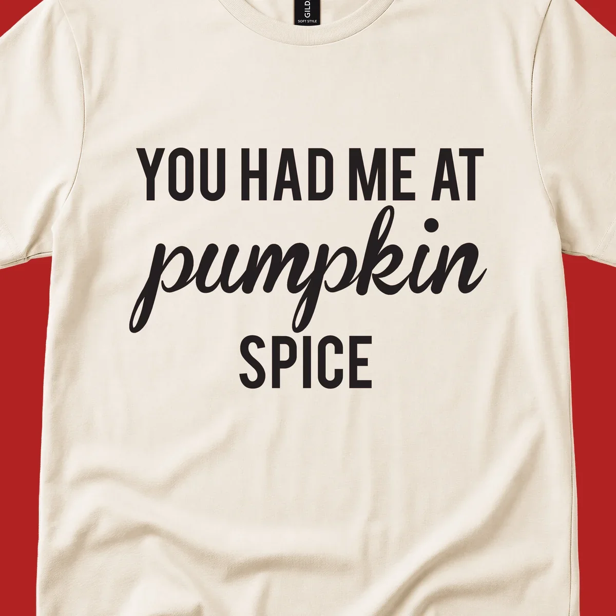 Text design 'YOU HAD ME AT pumpkin SPICE' with 'pumpkin' in script.