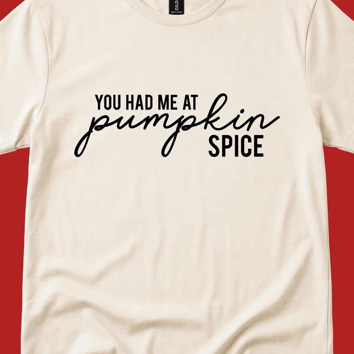 Typography design with the phrase You Had Me At Pumpkin Spice, celebrating fall.