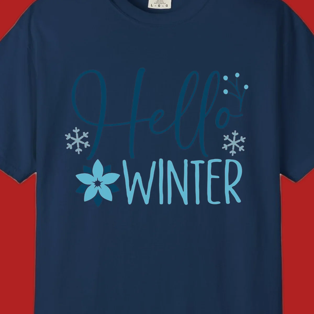 Hello Winter graphic with script text, snowflakes, and winter flower.