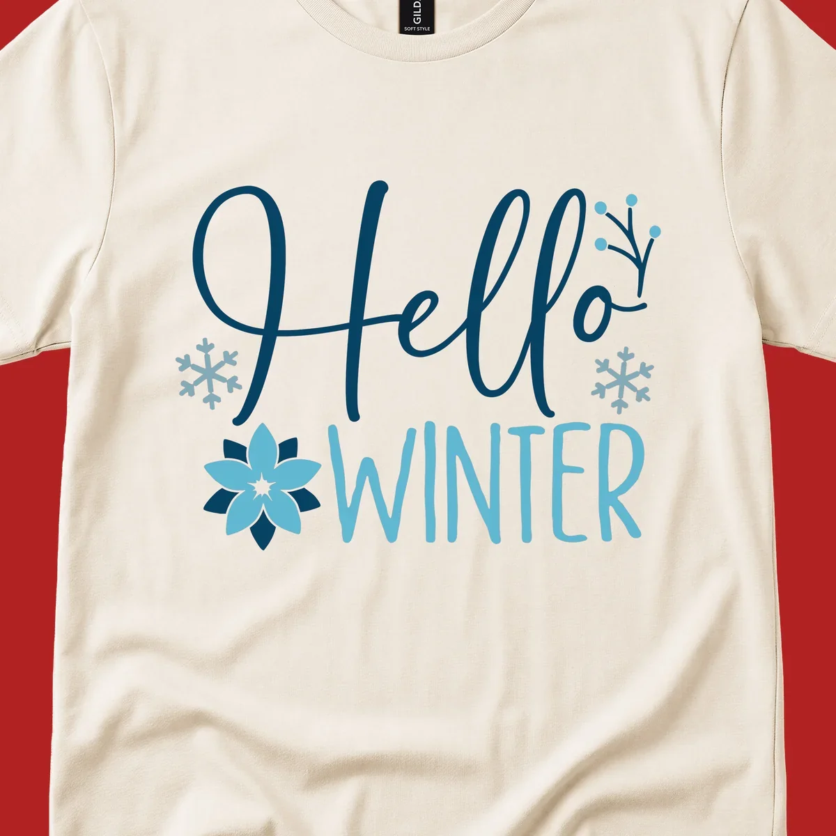 Hello Winter graphic with script text, snowflakes, and winter flower.