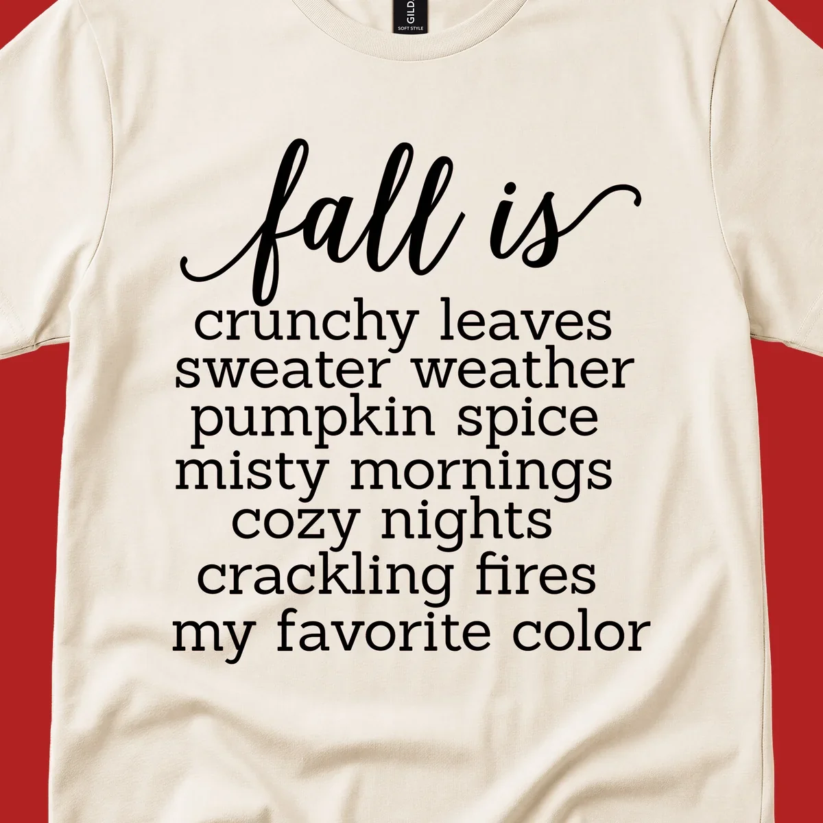 Fall is my favorite color typography design featuring cozy autumn phrases in white text.