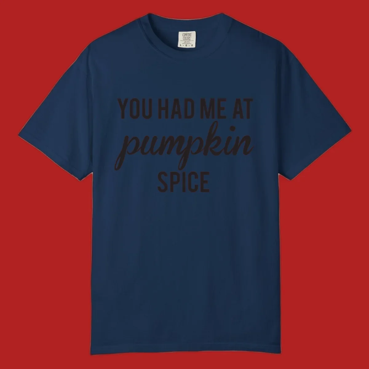 Text design 'YOU HAD ME AT pumpkin SPICE' with 'pumpkin' in script.