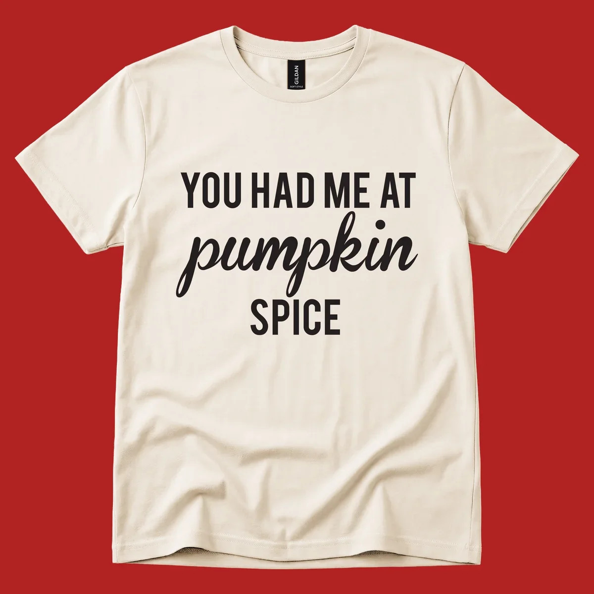 Text design 'YOU HAD ME AT pumpkin SPICE' with 'pumpkin' in script.