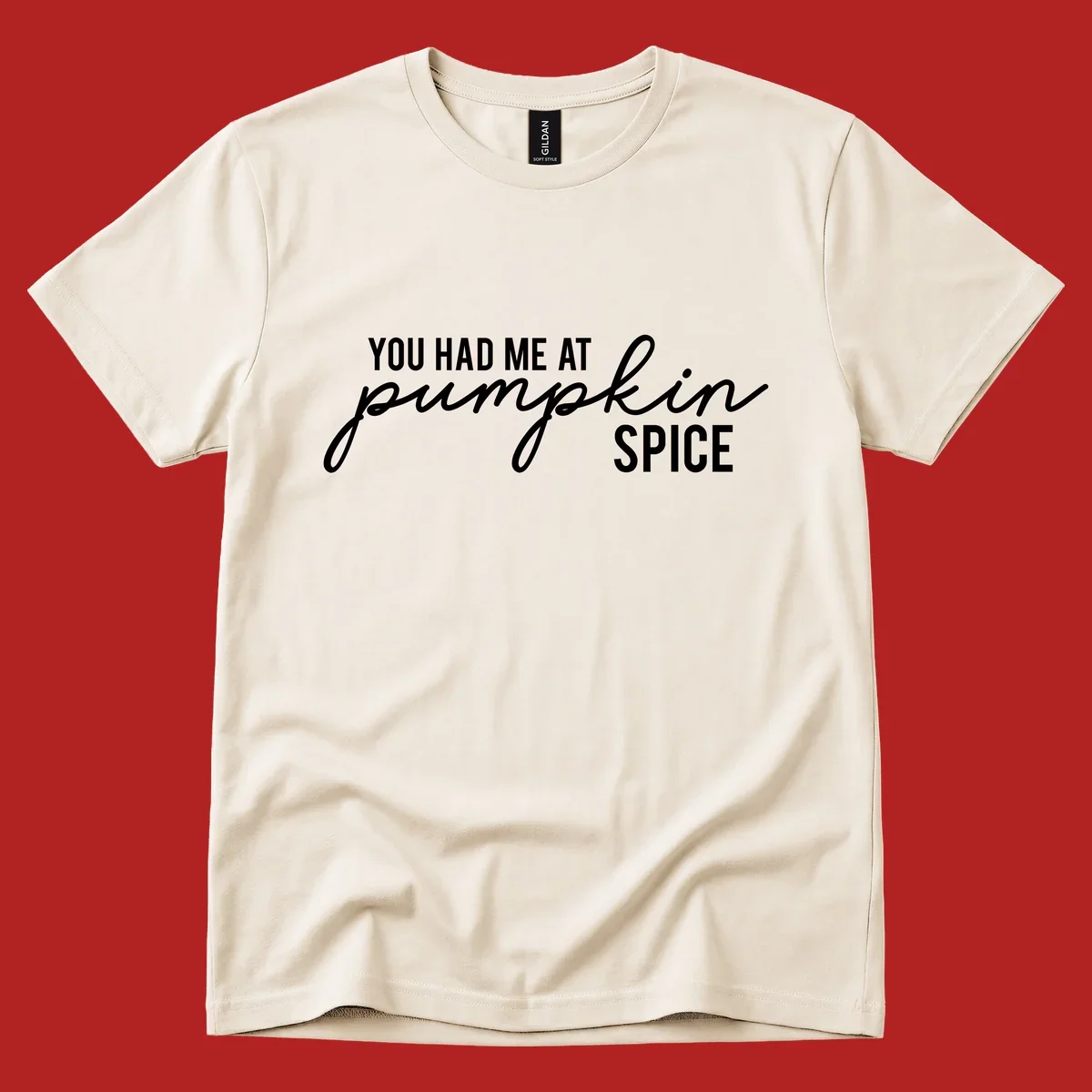 Typography design with the phrase You Had Me At Pumpkin Spice, celebrating fall.