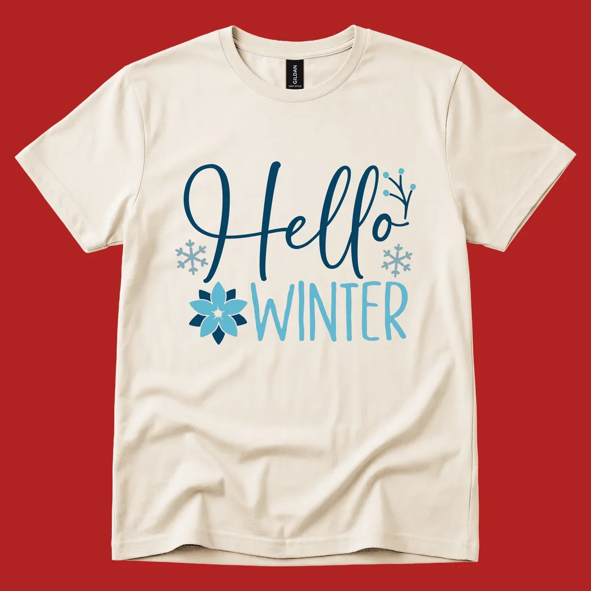 Hello Winter graphic with script text, snowflakes, and winter flower.