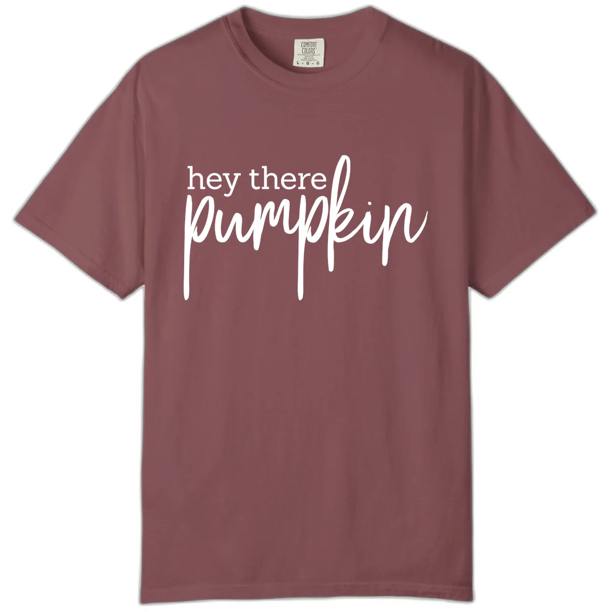 Hey There Pumpkin Seasonal Greeting Comfort Color in Brick