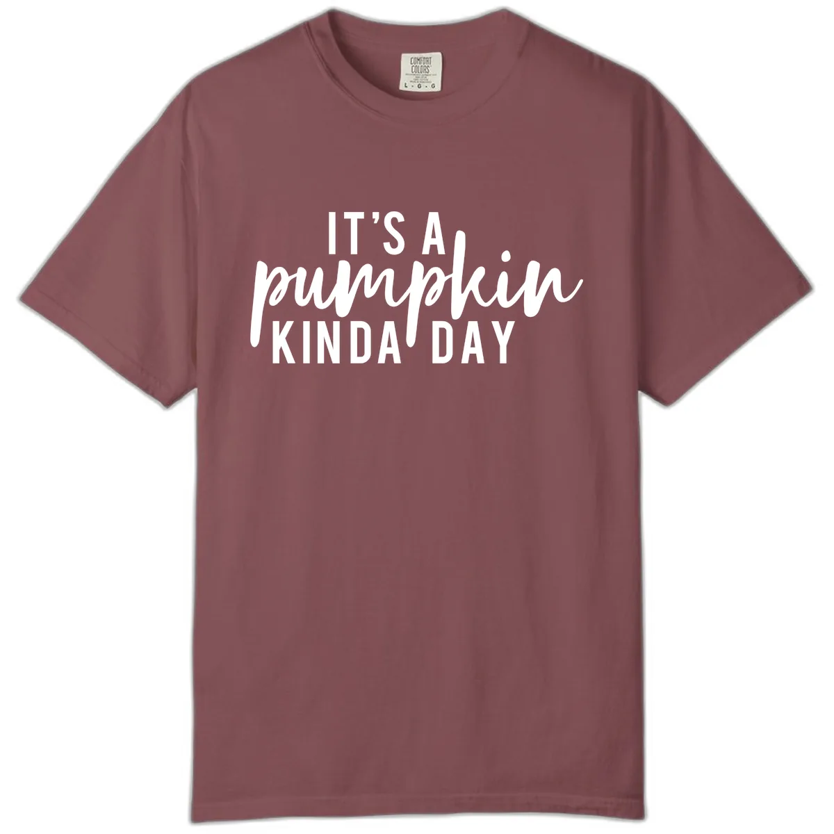 It's A Pumpkin Kinda Day Comfort Color in Brick