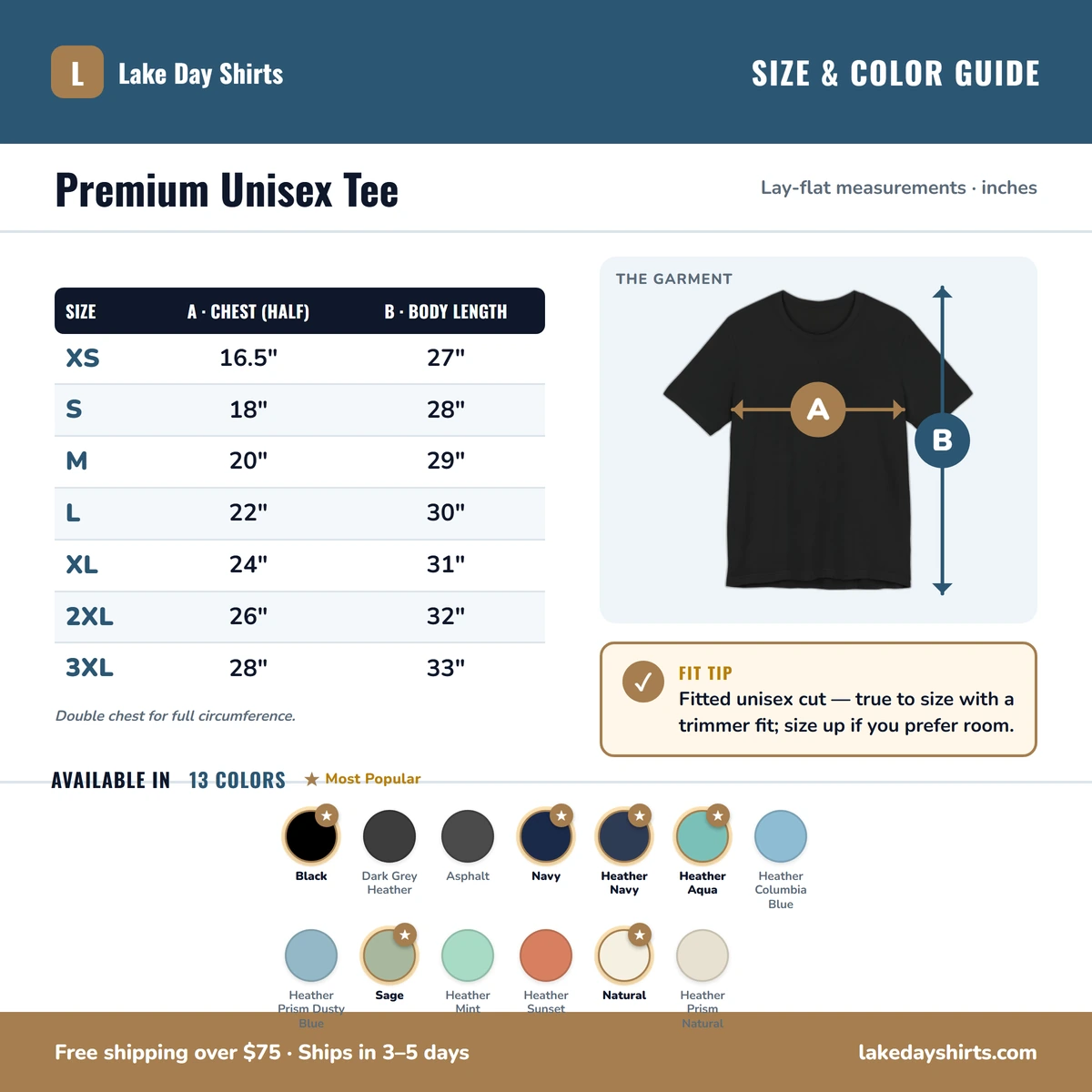 Premium T-Shirt size & color guide