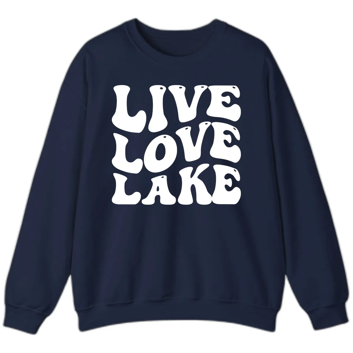Live Love Lake Retro Graphic Sweatshirt in Navy