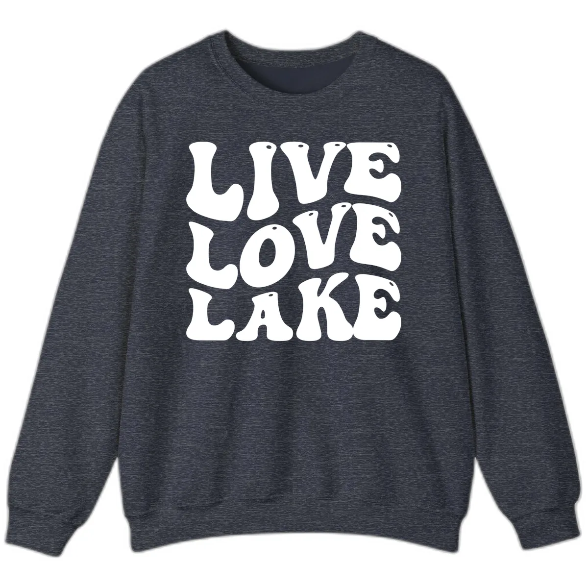 Live Love Lake Retro Graphic Sweatshirt in Heather Sport Dark Navy