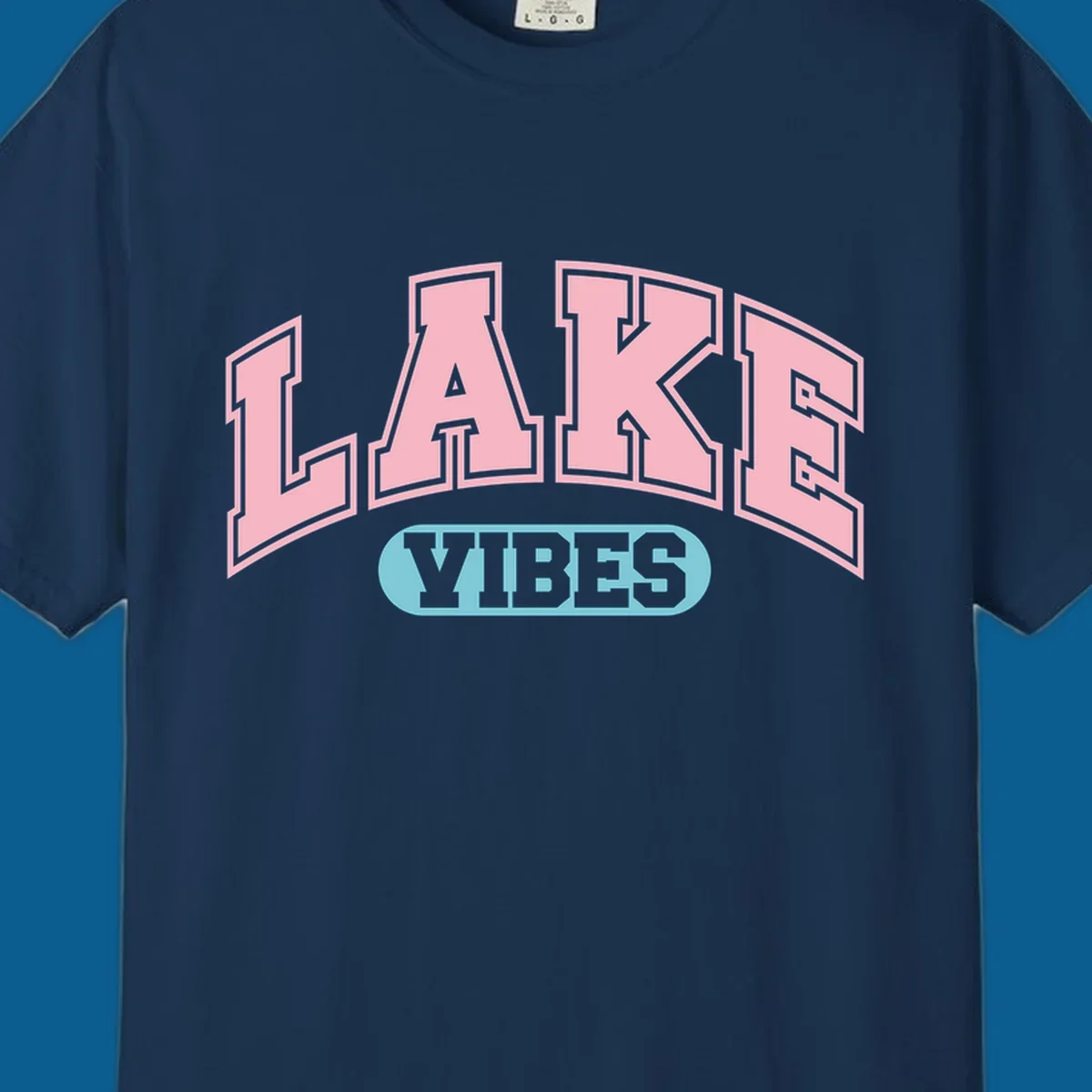 Lake Vibes arch logo with pink LAKE and light blue VIBES text.