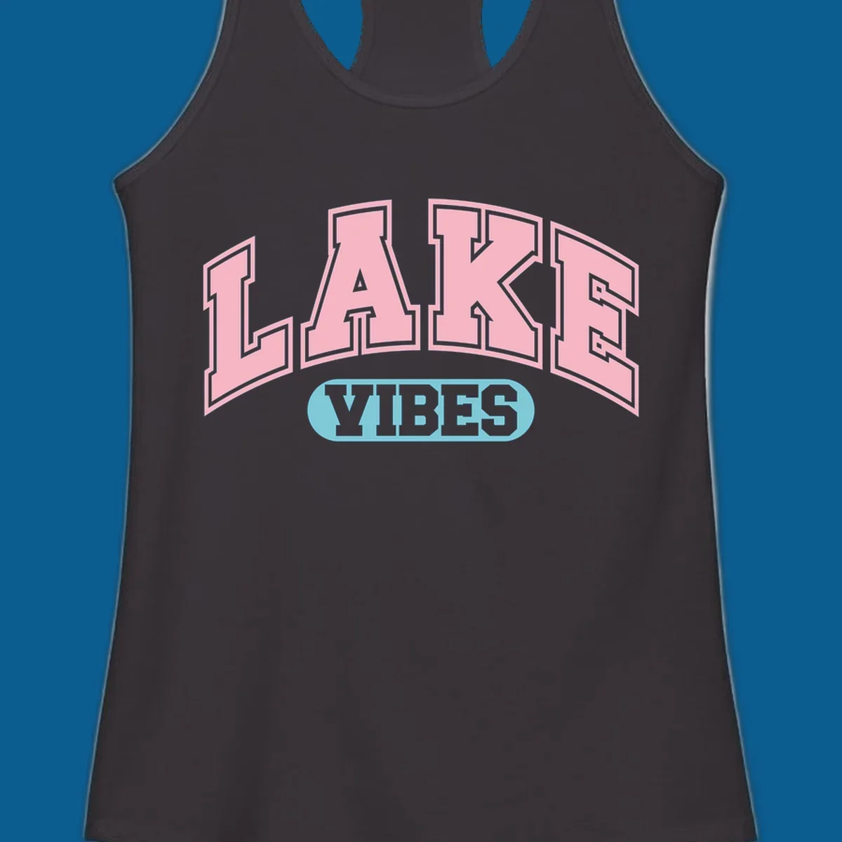 Lake Vibes arch logo with pink LAKE and light blue VIBES text.