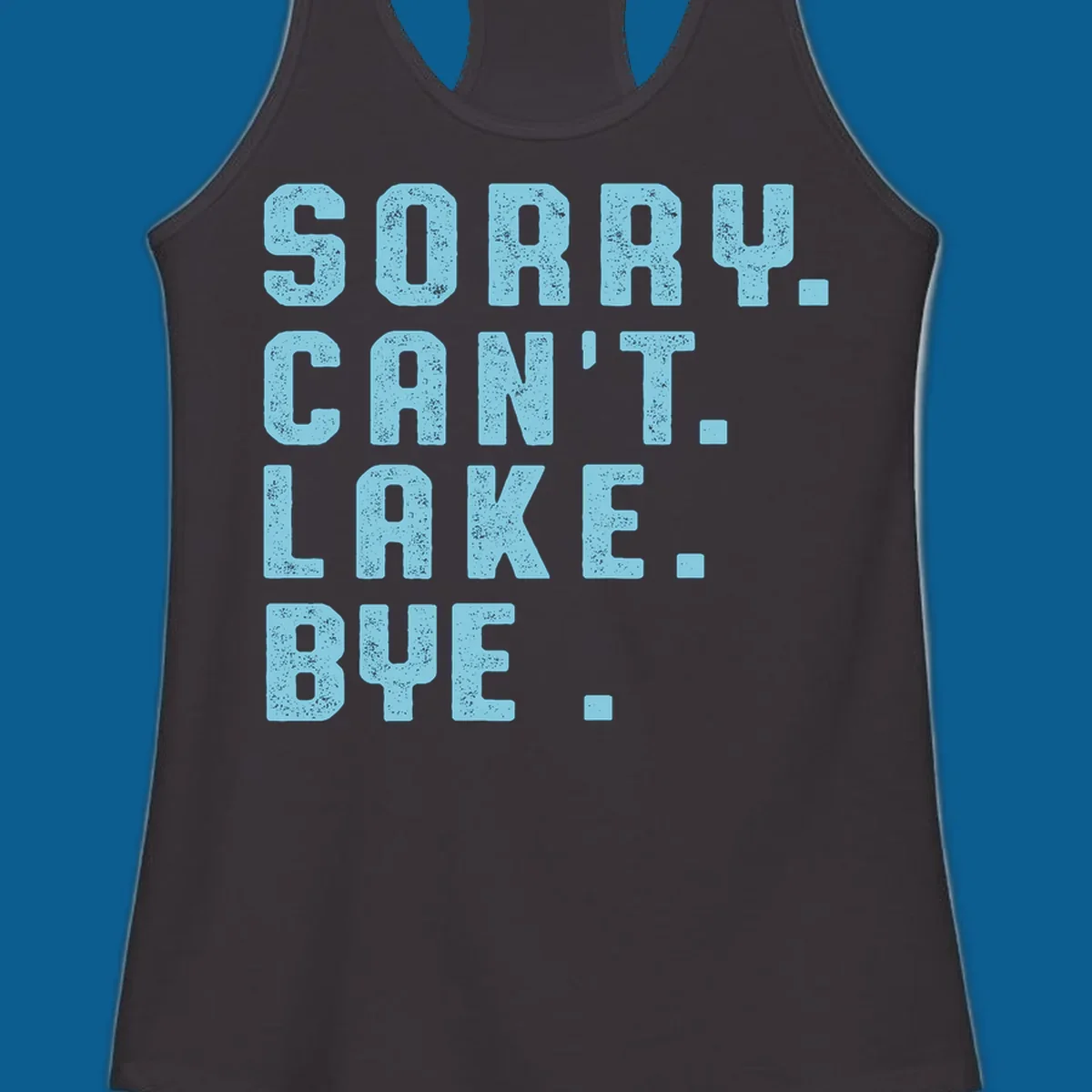 Text art with 'SORRY. CAN'T. LAKE. BYE.' in distressed light blue font, representing the lake-life-bye concept.