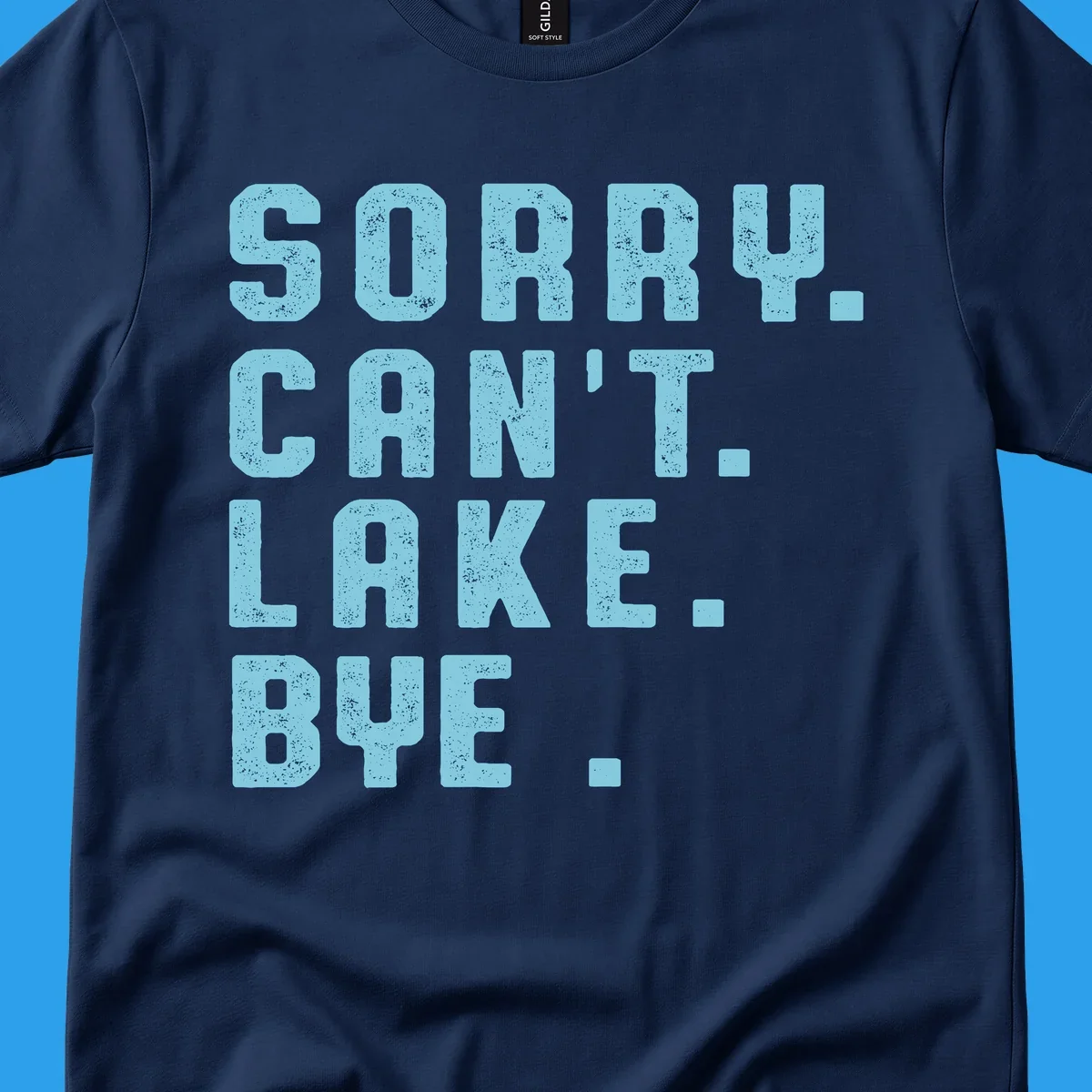 Text art with 'SORRY. CAN'T. LAKE. BYE.' in distressed light blue font, representing the lake-life-bye concept.