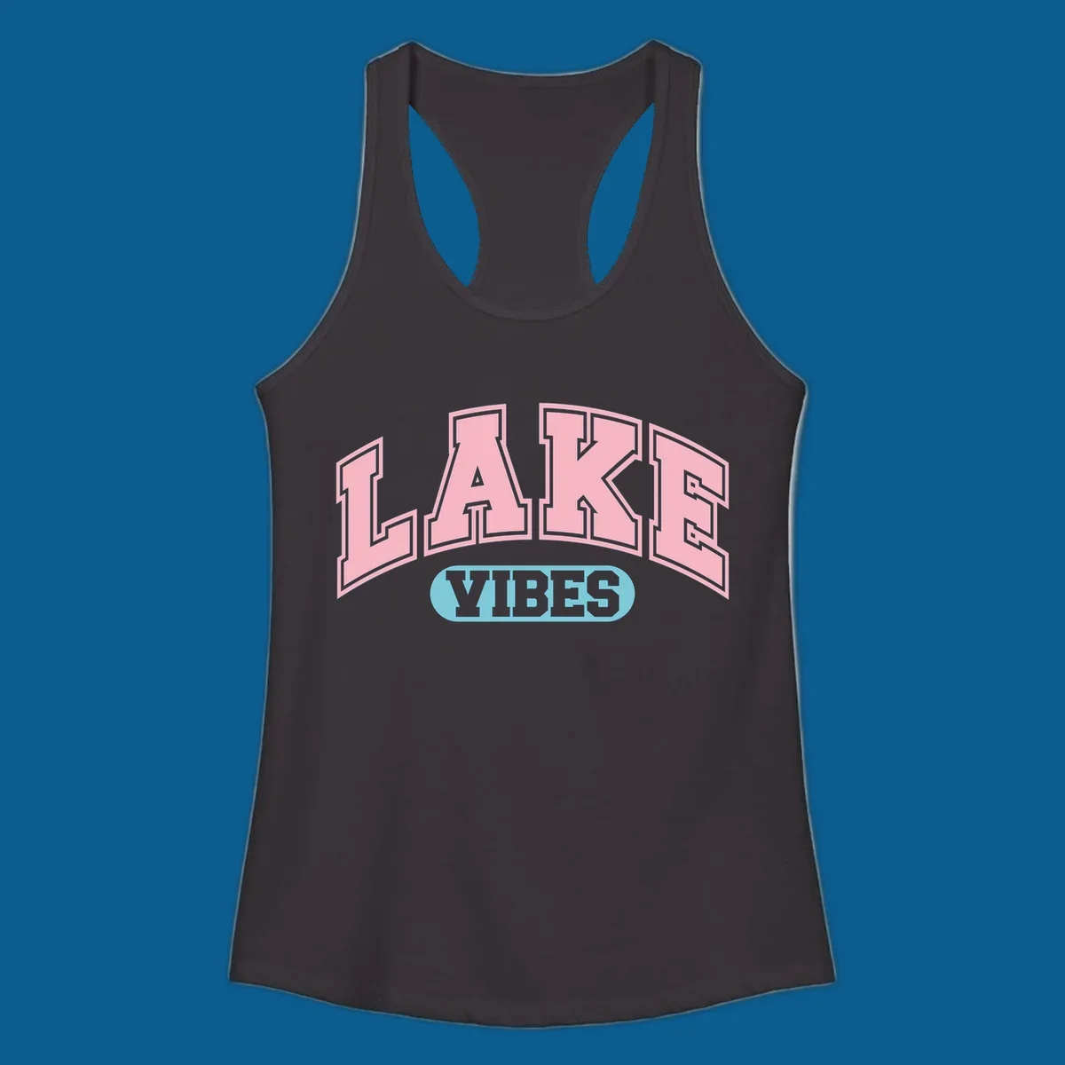 Lake Vibes arch logo with pink LAKE and light blue VIBES text.