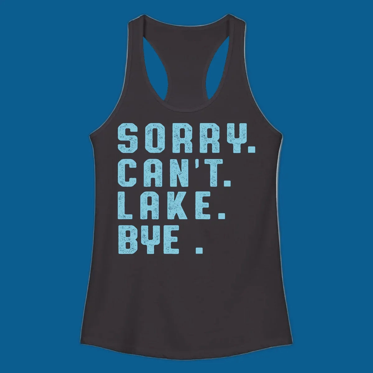 Text art with 'SORRY. CAN'T. LAKE. BYE.' in distressed light blue font, representing the lake-life-bye concept.