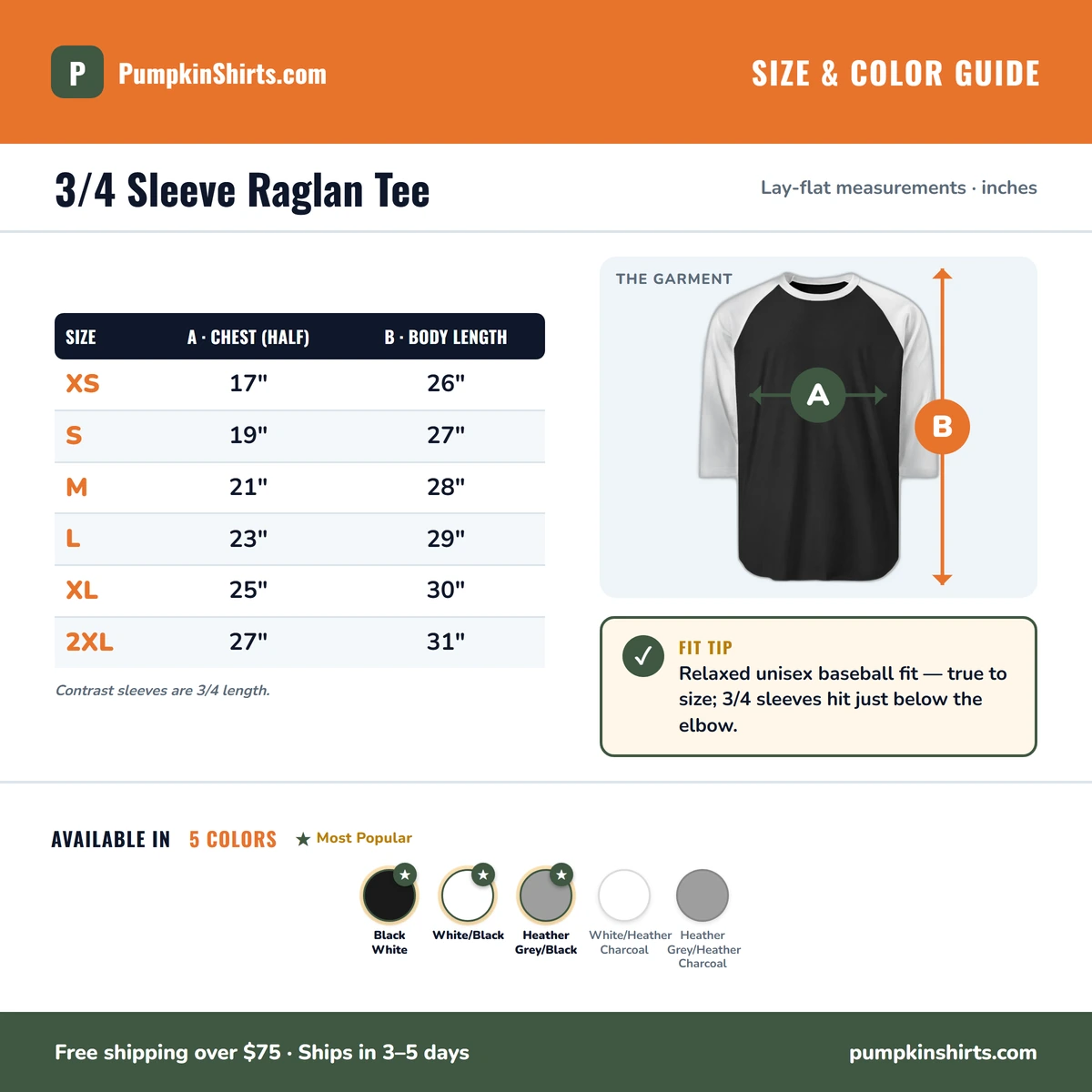 Raglan 3/4 size & color guide