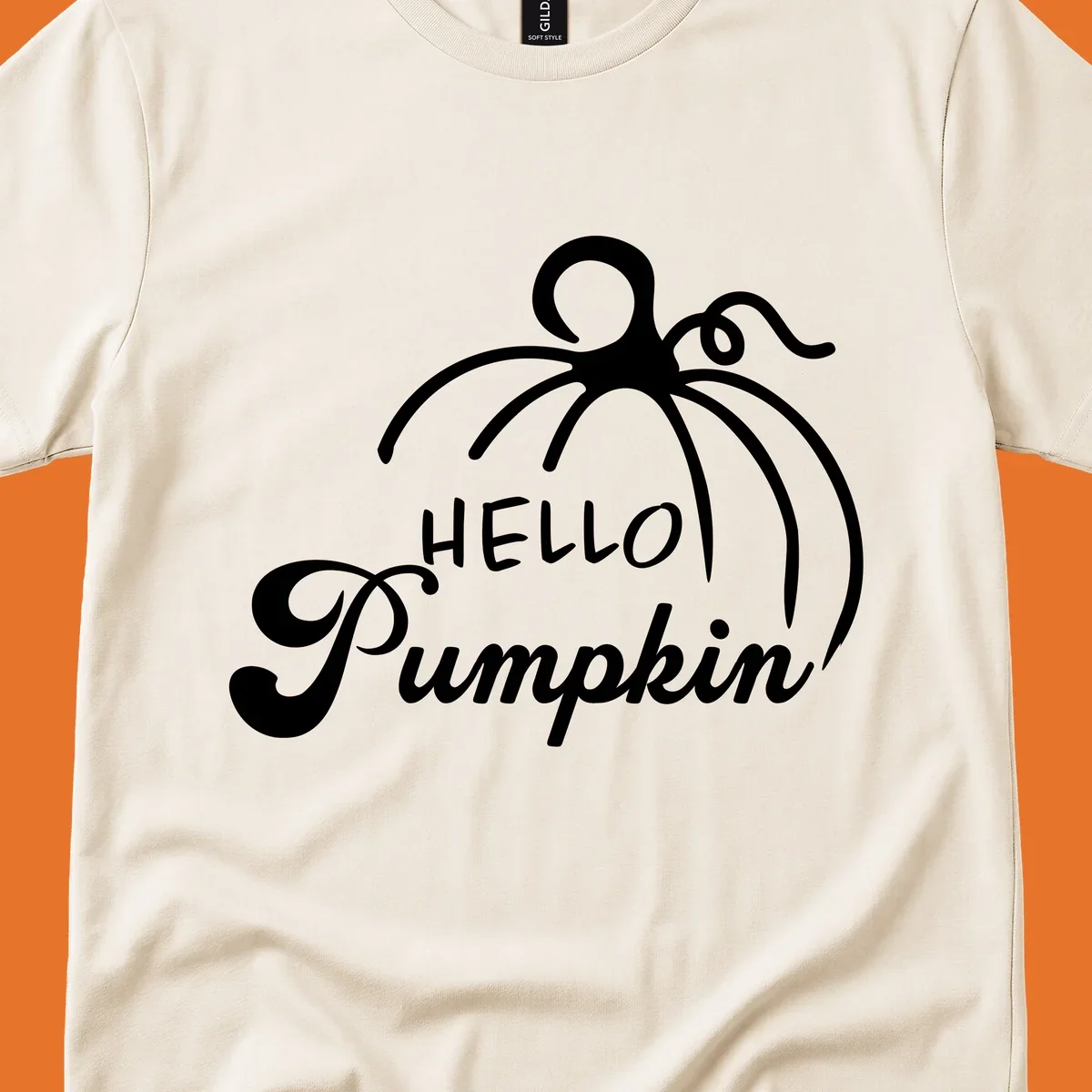 Illustration of a pumpkin with the text 'HELLO Pumpkin', ideal for fall and Halloween.