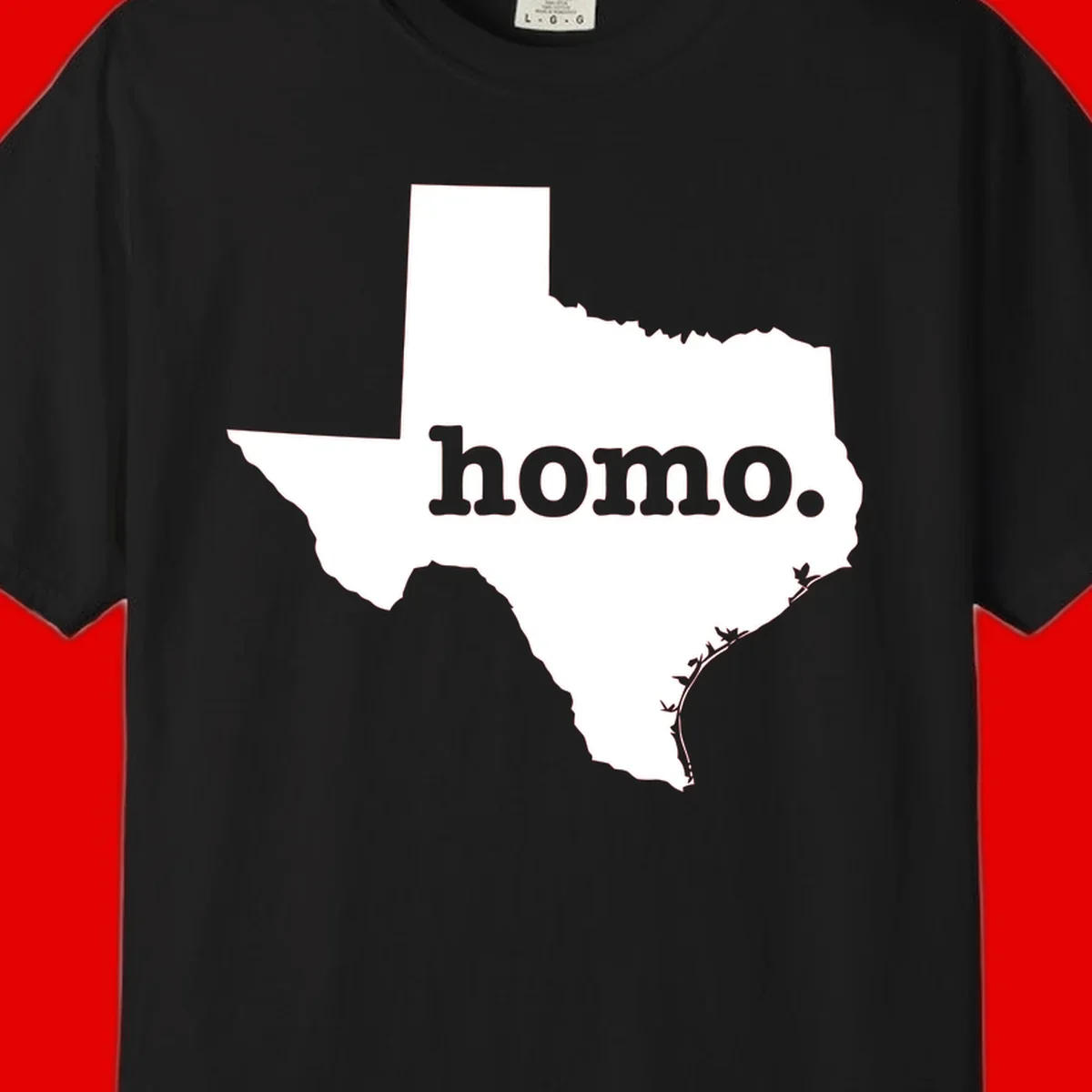 White Texas state silhouette with 'homo.' text overlay on gray background, homo-texas-pride design
