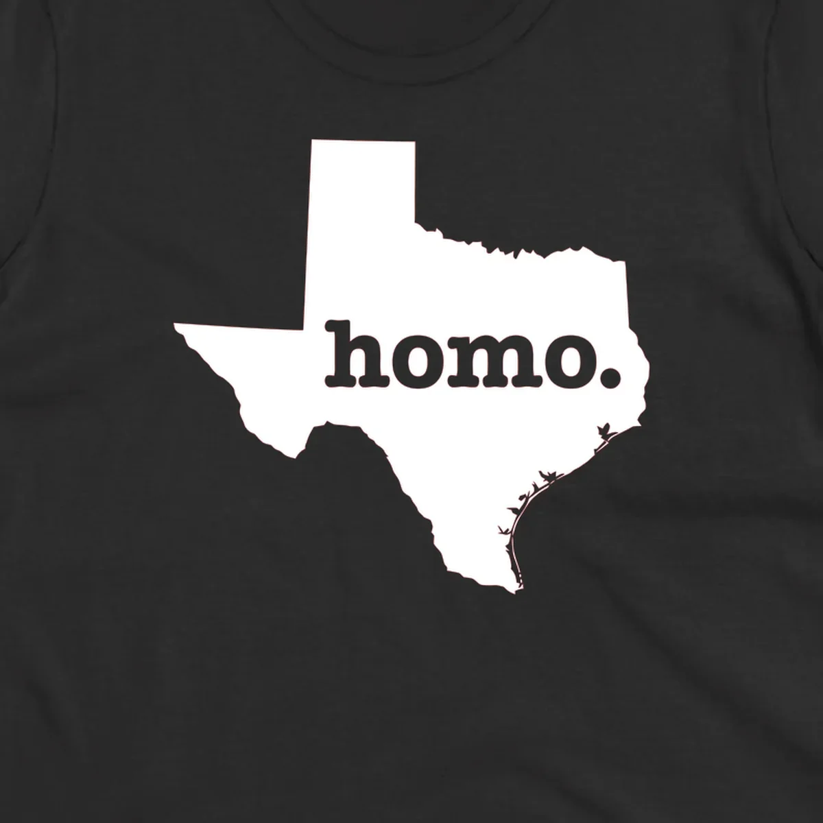 White Texas state silhouette with 'homo.' text overlay on gray background, homo-texas-pride design