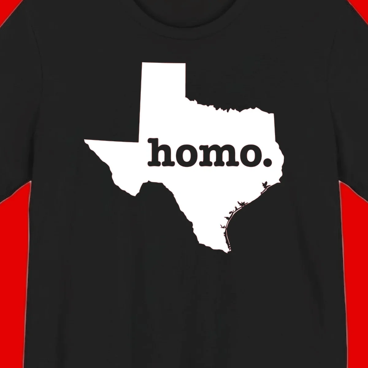 White Texas state silhouette with 'homo.' text overlay on gray background, homo-texas-pride design