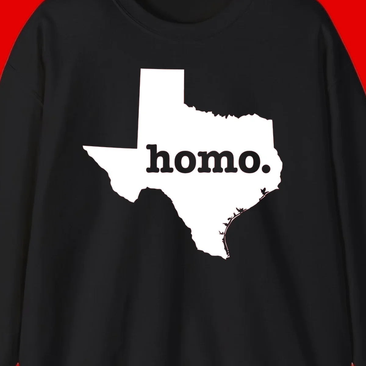 White Texas state silhouette with 'homo.' text overlay on gray background, homo-texas-pride design