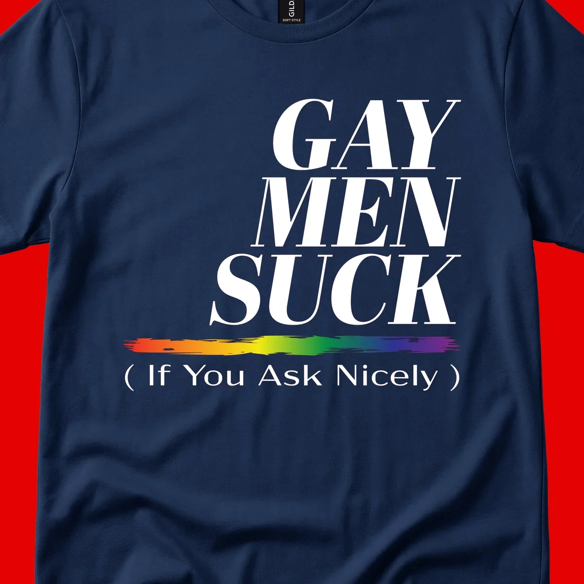 Gay men suck if you ask nicely pride design with white text and rainbow paint stroke accent on gray background