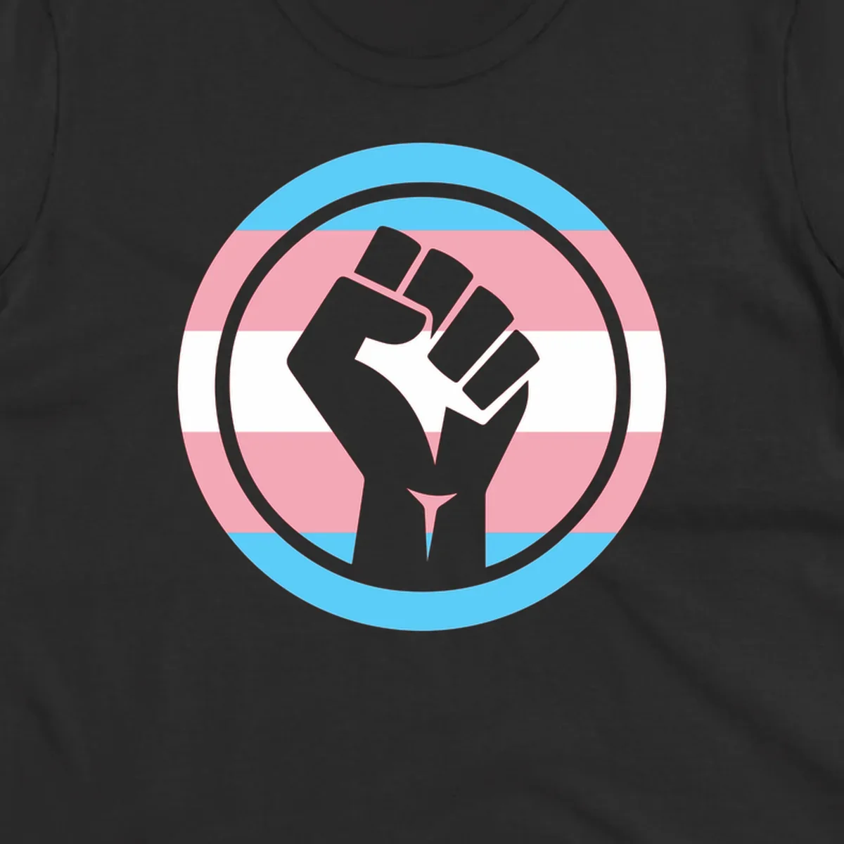 Gray raised fist inside circular badge with trans pride flag stripes in cyan, pink, and white horizontal bands