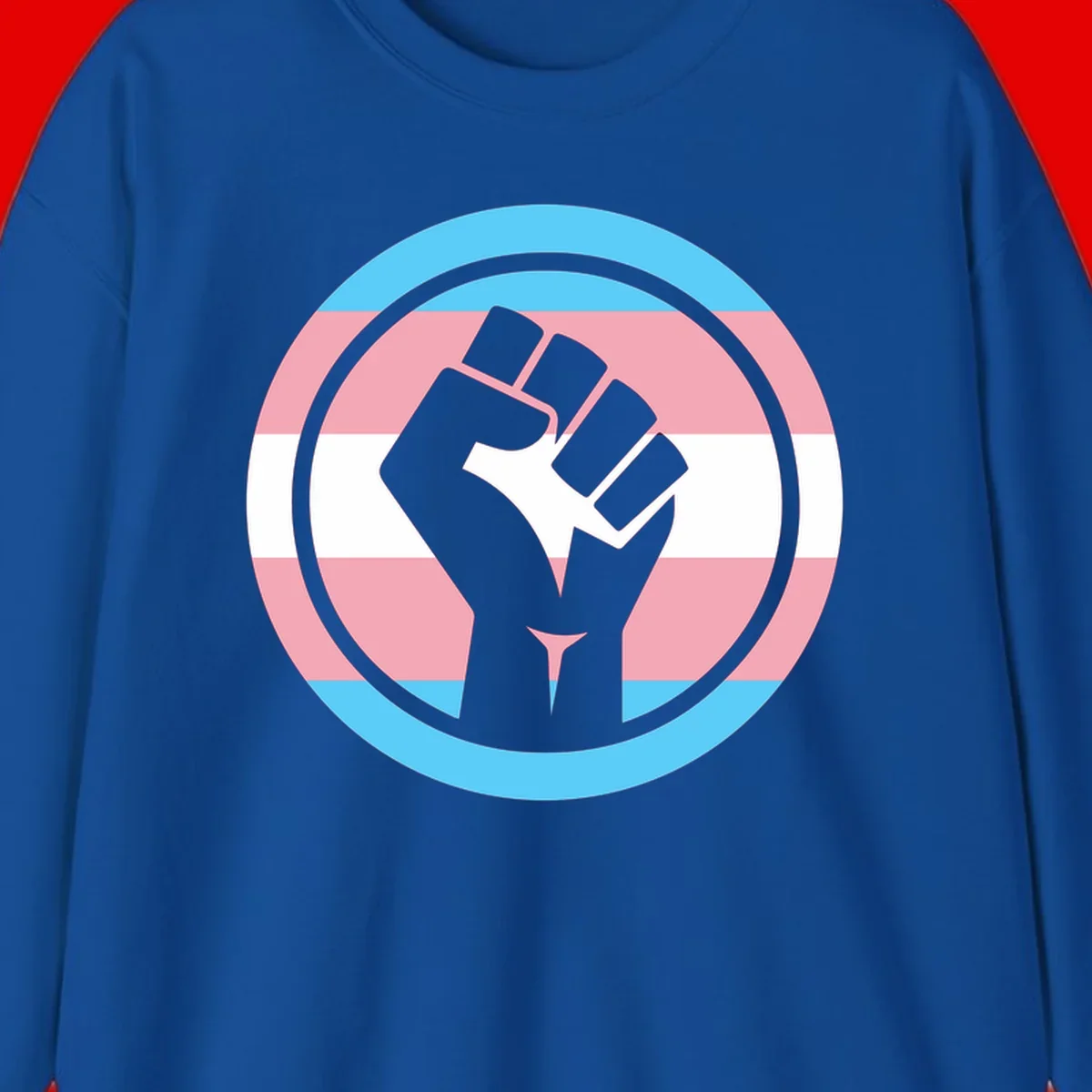 Gray raised fist inside circular badge with trans pride flag stripes in cyan, pink, and white horizontal bands