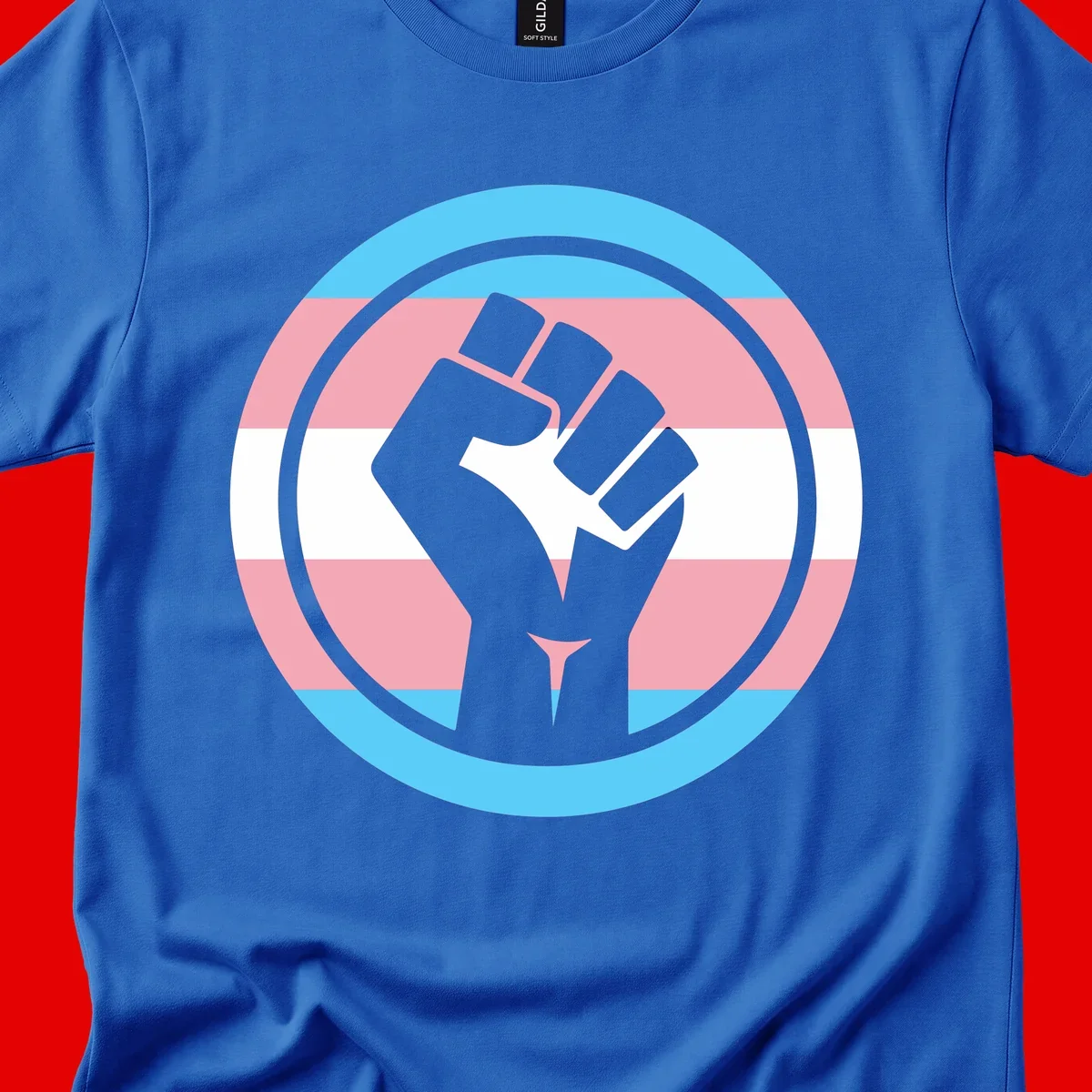 Gray raised fist inside circular badge with trans pride flag stripes in cyan, pink, and white horizontal bands