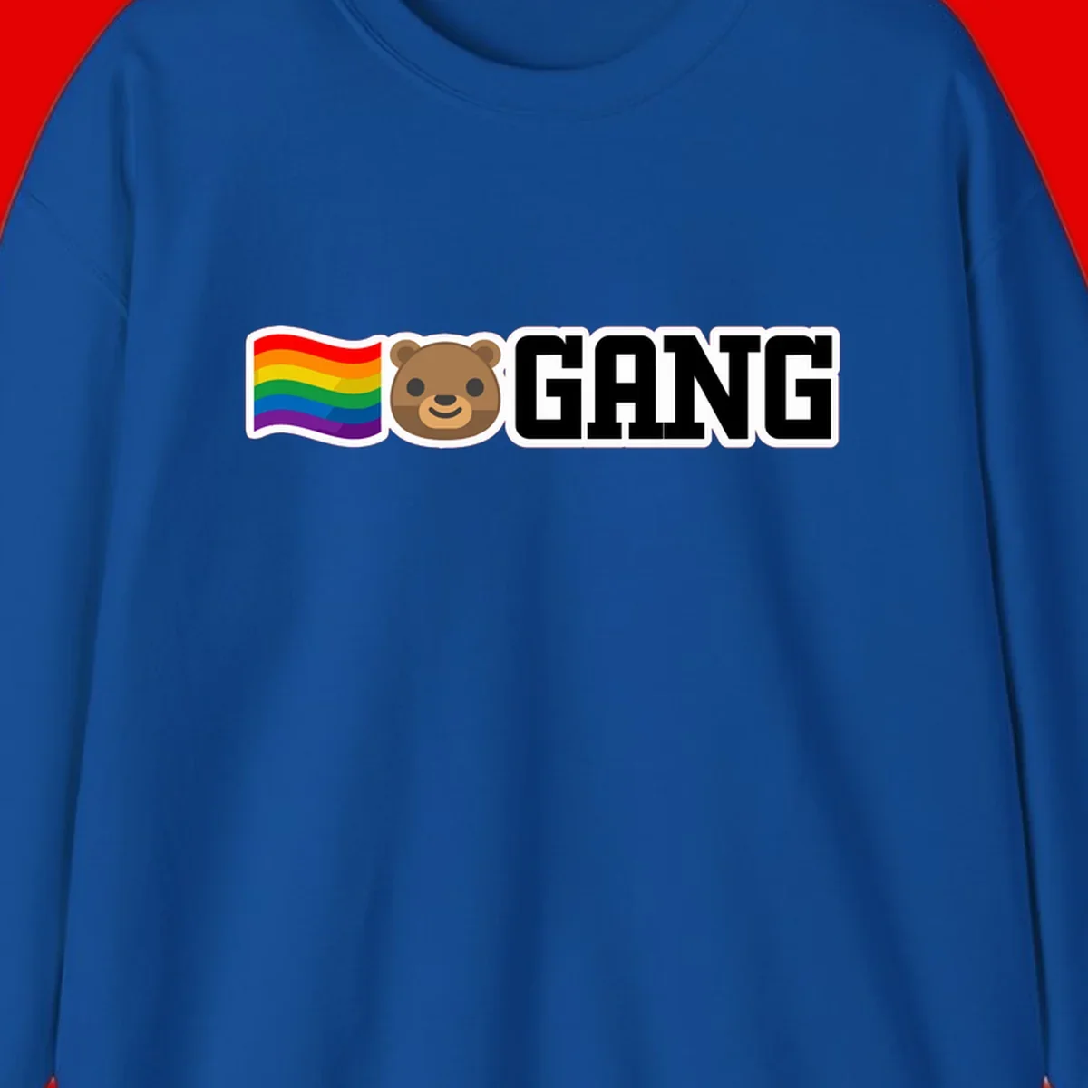 Bear gang pride design with rainbow flag, smiling bear face, and bold GANG text on gray background