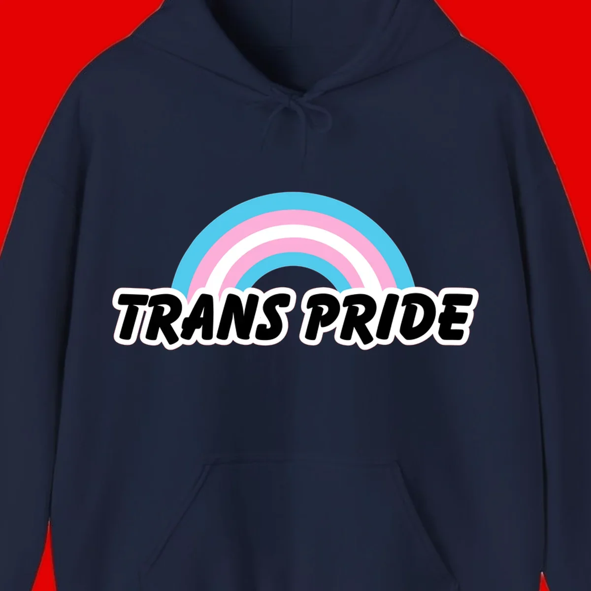 Trans pride rainbow design with cyan, pink, and white concentric arcs above black italic 'TRANS PRIDE' text with white outline on gray background