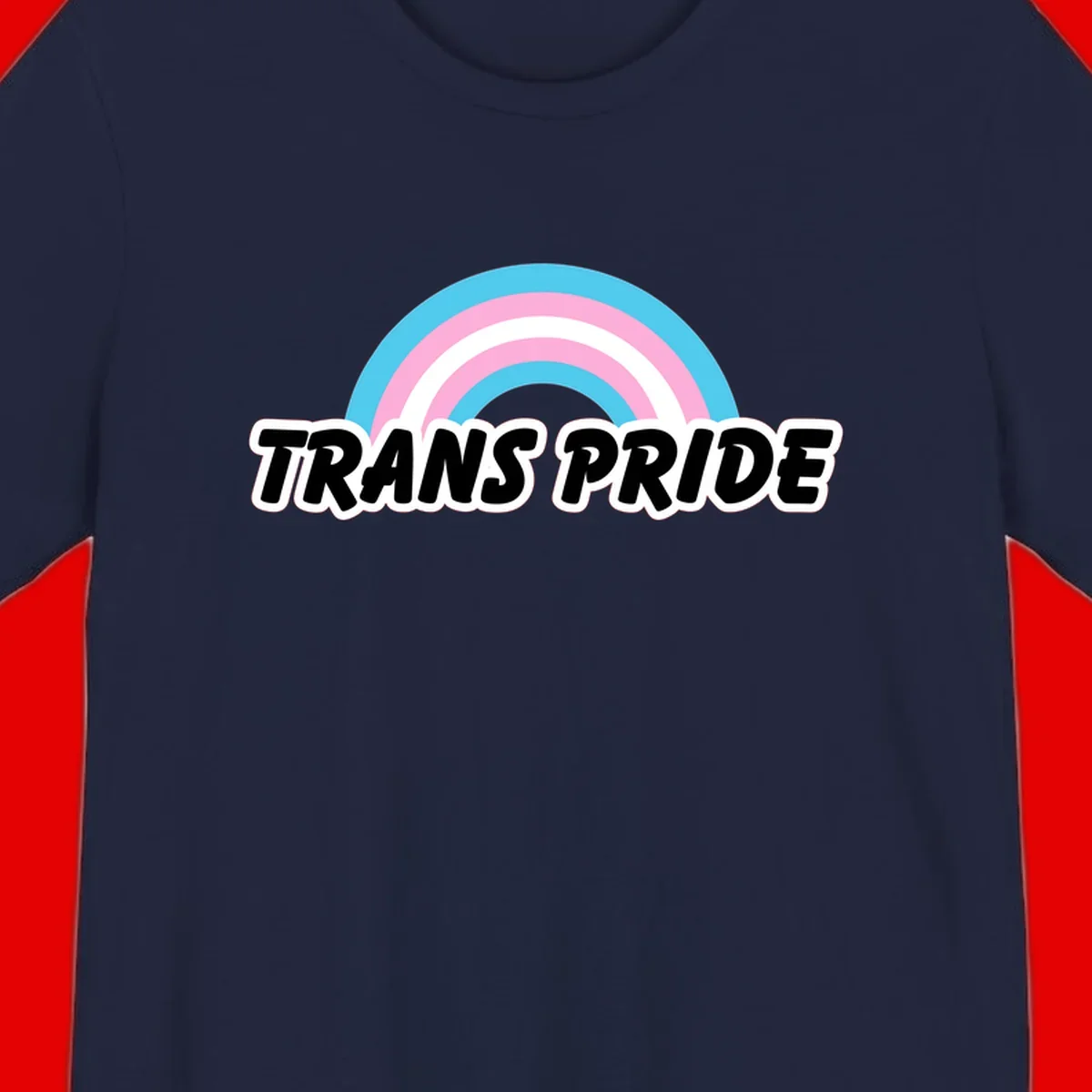 Trans pride rainbow design with cyan, pink, and white concentric arcs above black italic 'TRANS PRIDE' text with white outline on gray background