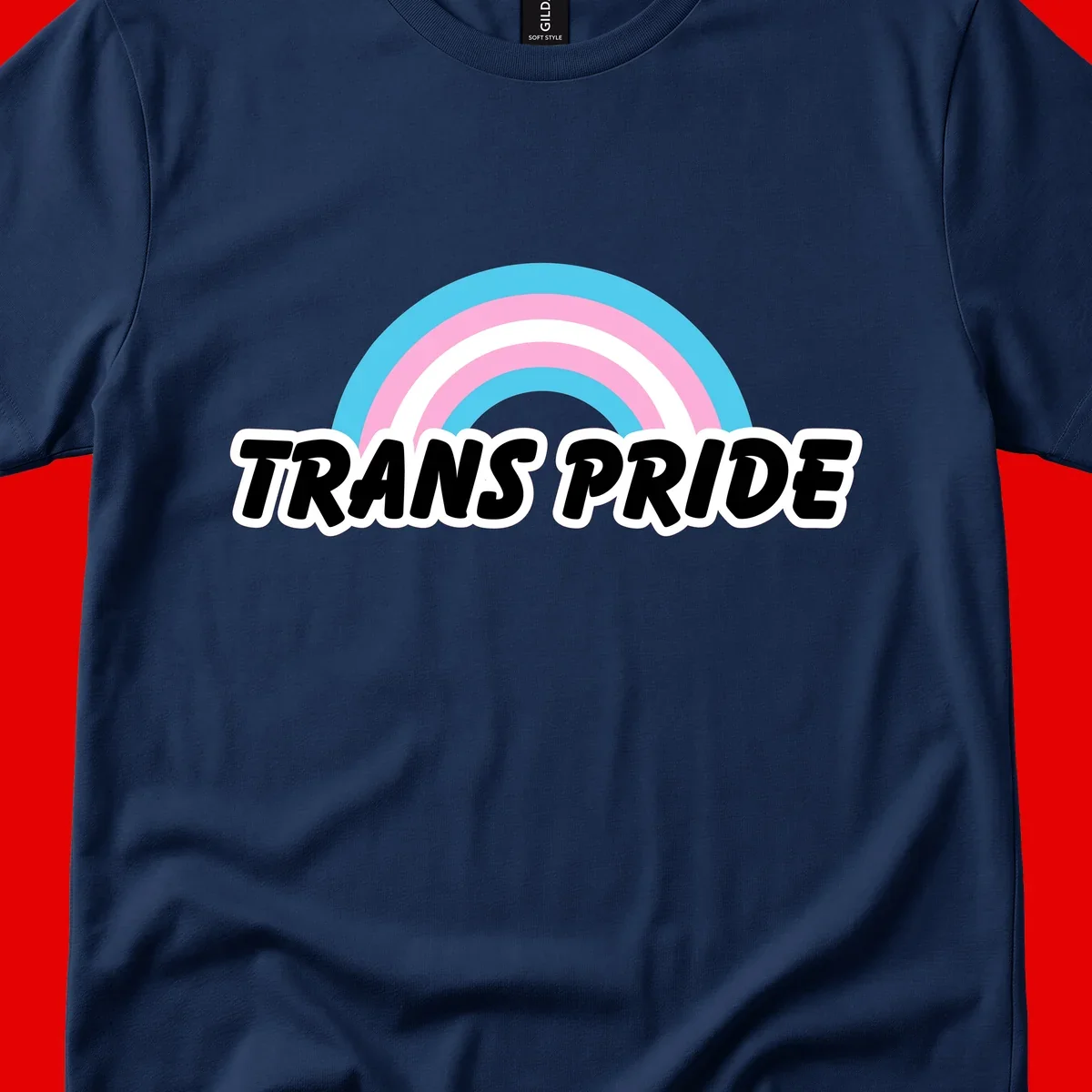 Trans pride rainbow design with cyan, pink, and white concentric arcs above black italic 'TRANS PRIDE' text with white outline on gray background