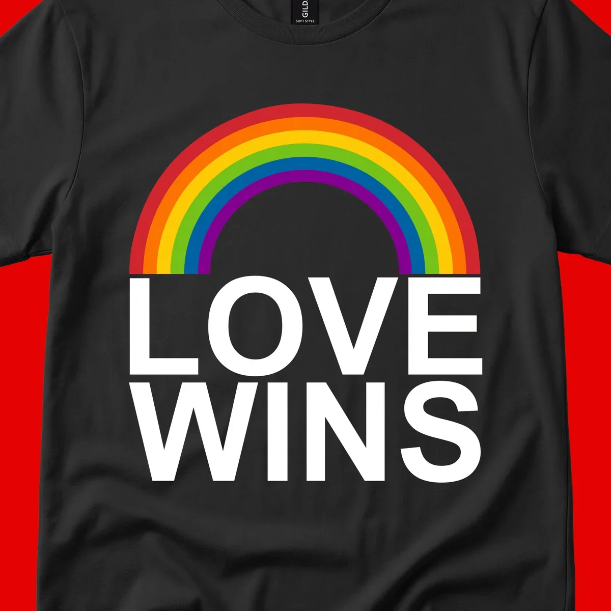Rainbow arc above white text reading 'Love Wins' on gray background, pride equality design