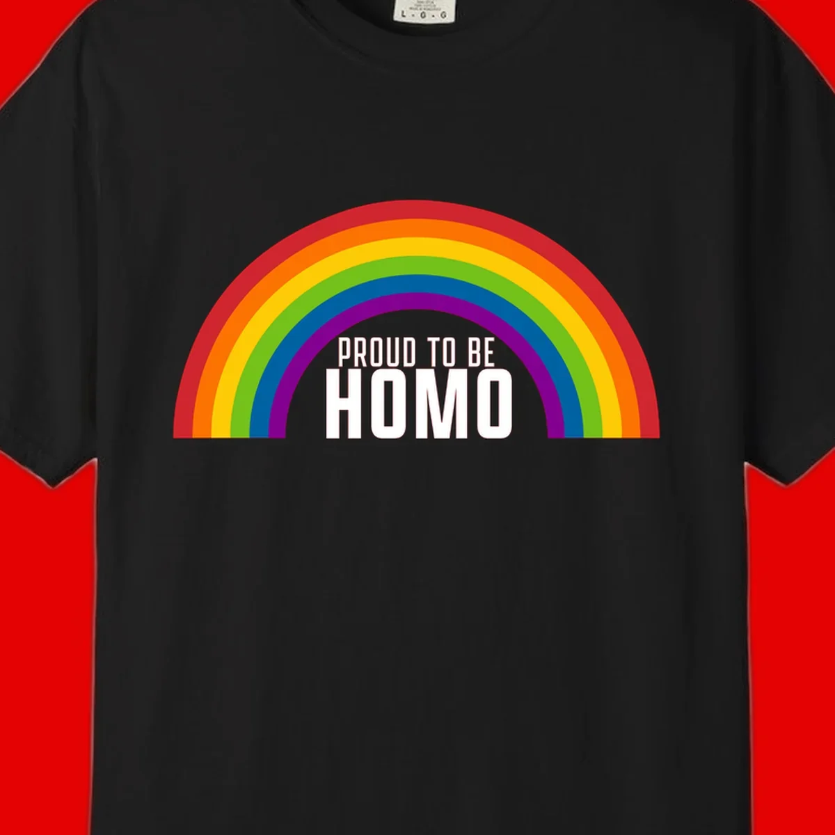 Proud to be homo design: rainbow arc in pride colors frames white text on gray background