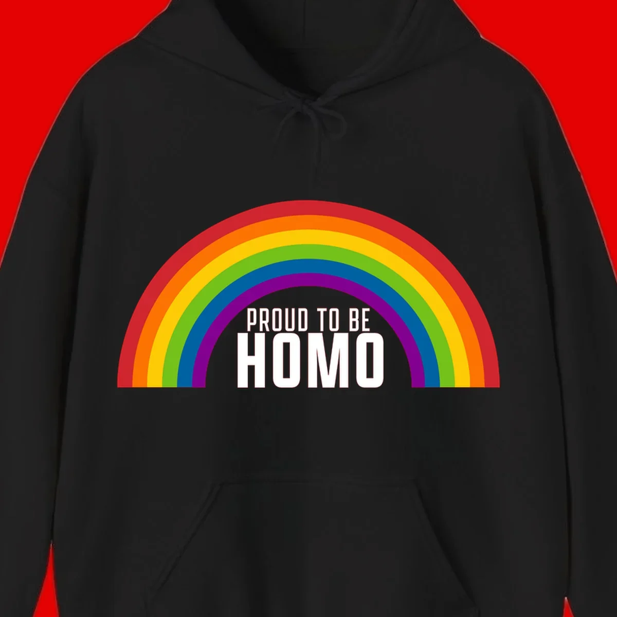 Proud to be homo design: rainbow arc in pride colors frames white text on gray background