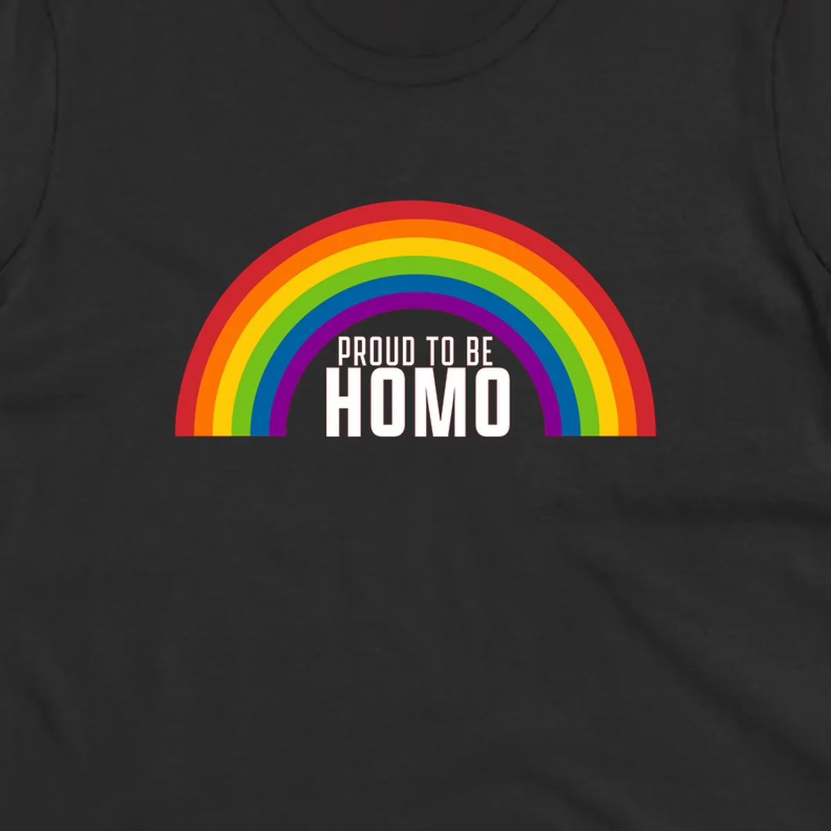 Proud to be homo design: rainbow arc in pride colors frames white text on gray background