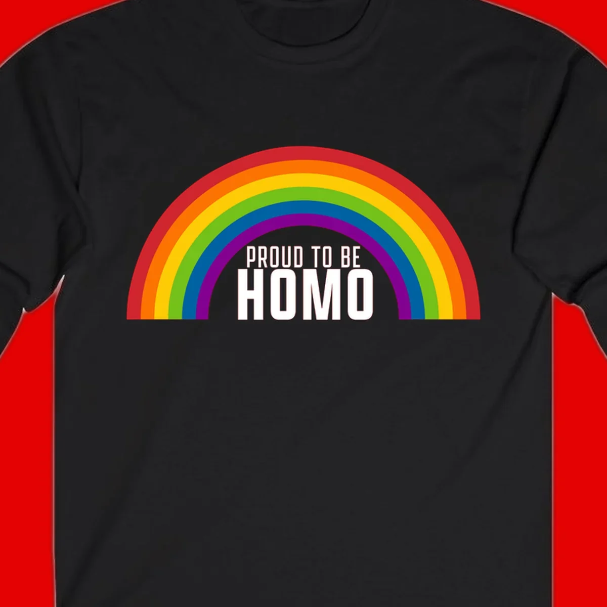 Proud to be homo design: rainbow arc in pride colors frames white text on gray background