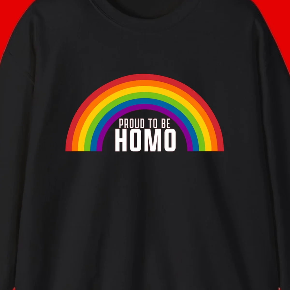 Proud to be homo design: rainbow arc in pride colors frames white text on gray background